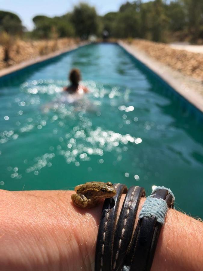 Sublim' Ecolodge Abela Kültér fotó