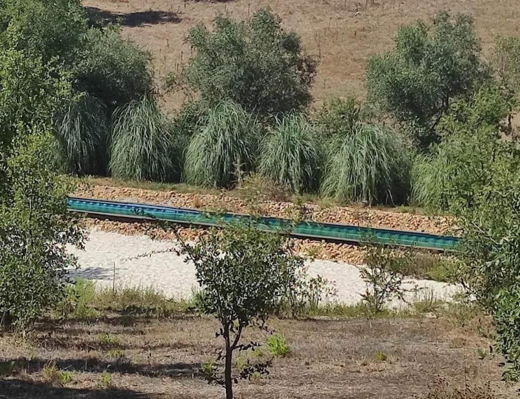 Sublim' Ecolodge Abela Kültér fotó